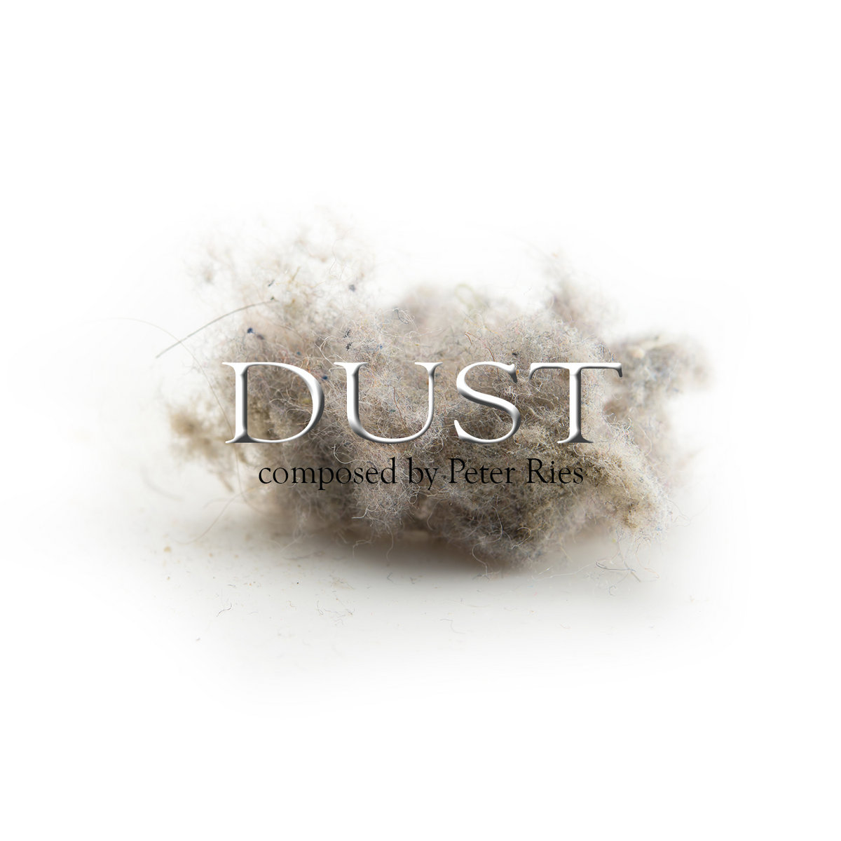 دانلود آلبوم موسیقی Dust توسط Peter Ries