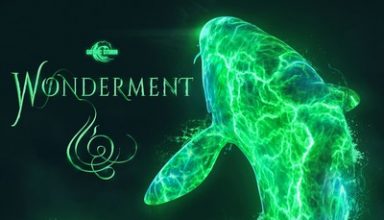 دانلود موسیقی متن فیلم Wonderment