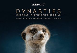 دانلود موسیقی متن سریال Meerkat: A Dynasties Special