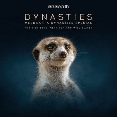 دانلود موسیقی متن سریال Meerkat: A Dynasties Special