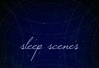 دانلود آلبوم موسیقی Sleep Scenes توسط Dear Gravity