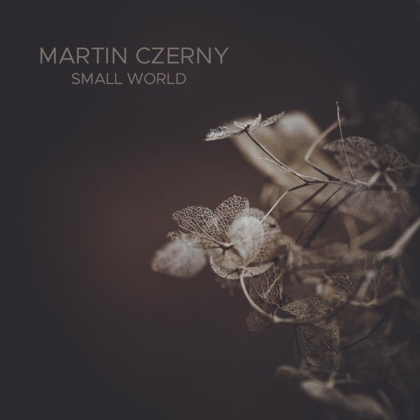 دانلود قطعه موسیقی Small World توسط Martin Czerny