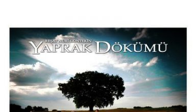 دانلود موسیقی متن سریال Yaprak Dökümü