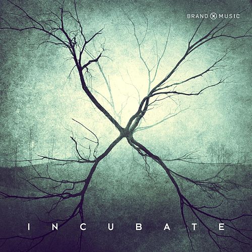 دانلود آلبوم موسیقی Incubate توسط Brand X Music