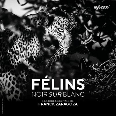 دانلود موسیقی متن فیلم Félins noir sur blanc