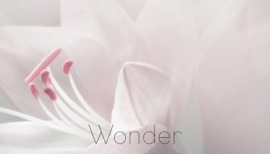 دانلود آلبوم موسیقی Wonder توسط Tiffany Hobson