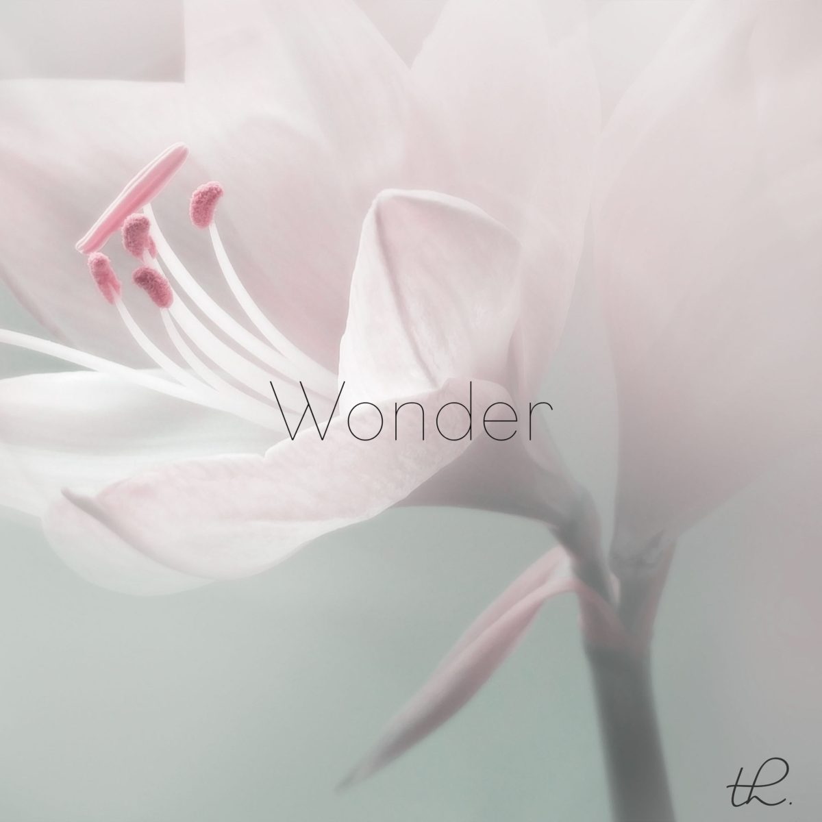 دانلود آلبوم موسیقی Wonder توسط Tiffany Hobson