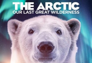دانلود موسیقی متن فیلم The Arctic: Our Last Great Wilderness