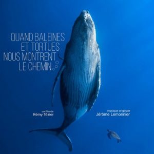 دانلود موسیقی متن سریال Quand Baleines Et Tortues Nous Montrent Le Chemin – توسط Jérôme Lemonnier