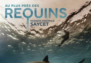 دانلود موسیقی متن فیلم Au plus près des requins