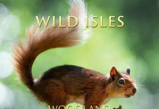 دانلود موسیقی متن سریال Wild Isles: Woodland