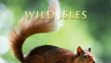 دانلود موسیقی متن سریال Wild Isles: Woodland