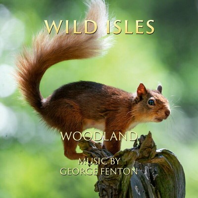 دانلود موسیقی متن سریال Wild Isles: Woodland