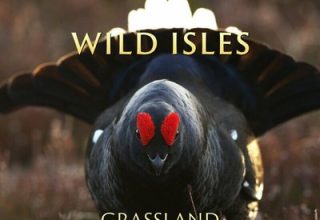 دانلود موسیقی متن سریال Wild Isles: Grassland