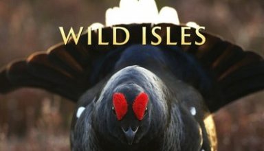 دانلود موسیقی متن سریال Wild Isles: Grassland