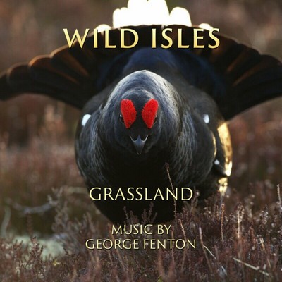 دانلود موسیقی متن سریال Wild Isles: Grassland