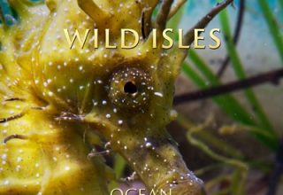 دانلود موسیقی متن سریال Wild Isles: Ocean