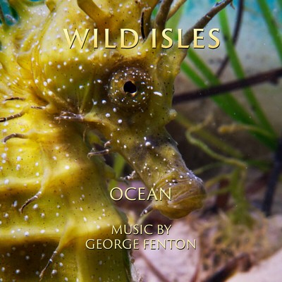 دانلود موسیقی متن سریال Wild Isles: Ocean