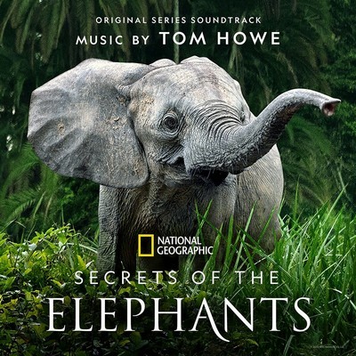 دانلود موسیقی متن سریال Secrets of the Elephants