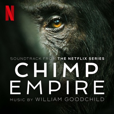 دانلود موسیقی متن سریال Chimp Empire