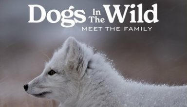 دانلود موسیقی متن سریال Dogs In The Wild: Meet The Family